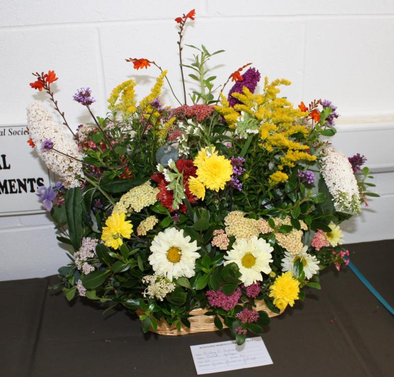 ../Images/64th Bunclody Horticultural Show 2015 - 39.jpg
